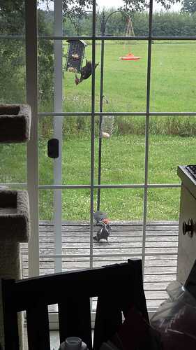 6727